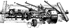 The components of the speed and motion
