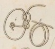 Du mouvement des fardeaux Pl.1 Fig.4-5