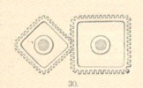 Fig.30