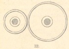Fig.32