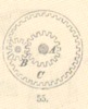 Fig.55