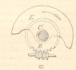 Fig.67
