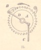 Fig.75