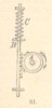Fig.81