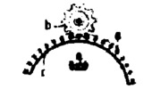 Spindle wheel