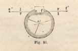 Fig. 81