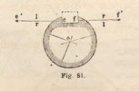 Fig. 81