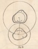 Fig. 23