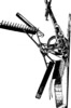 Corn cutting machine