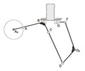 8-membered linkage