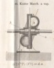 Tav. VII Fig. 10