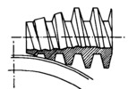 Cutting of the worm wheel