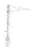 Acortable umbrella with telescopic cane