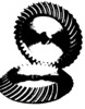 Bevel gear