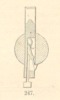Fig. 247