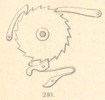Fig. 240