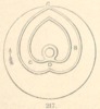 Fig. 217