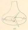 Fig. 307