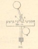 Fig. 302