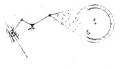 Gear of a universal scissors