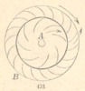 Fig. 431