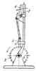 LEVER-RATCHET MECHANISM