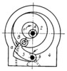 LEVER-ECCENTRIC MECHANISM OF A ROTARY COLLAR PUMP
