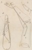 Mecanique appliquèe aux Arts - Automates e Mach. Theatrales Pl. 1 Fig. 3