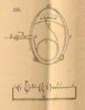 Meccanismi binari semplici, classe degli organi di trazione e compressione, tav. 13, fig. 384