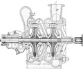 Image in section corresponding to the  pump of the present invention.
