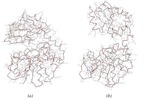 A feedback energetic algorithm for kinematic simulation of the movement of the proteins