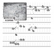 Multi-objective optimization mechanisms.