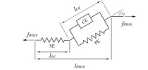 Objective function in muscle redundancy problems.