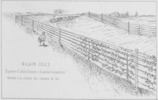 Tav. XVIII, Allain Jules, Espaliers d'arbres fruitiers à branches horizontales destinésà la cloture des chemins de fer