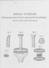 Tav. XXI, Douglas Sutherland, Perfectionnements dans les fleurets pour percher des trous cylindriques dans le rocher ou toute autre matière