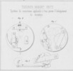 Tav. 4, Theurer Robert Fritz, Système de remontoire applicable à tous genres d'échappement de montres