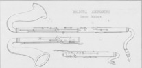 Tav. 6, Maldura Alessandro, Clarone Maldura
