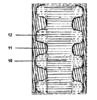 Driving Wheel Longitudinal Section