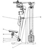 Shift A1 Lateral View