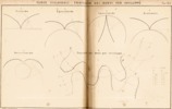 Tav. XLI, Curve cicloidali - Tracciato dei denti per inviluppo