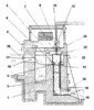 Longitudinal Section