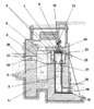 Longitudinal Section