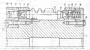 Longitudinal section through drill snail