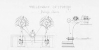 Tav. 70, Weilenmann Cristoforo, Pulitojo filante