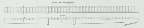 pianta asportapaglia