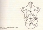 Fig. 3.12