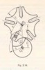 Fig. 3.14