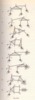 Fig. 5.52