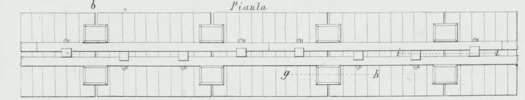 Pianta