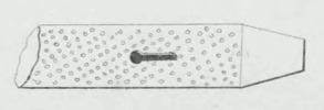 dettaglio